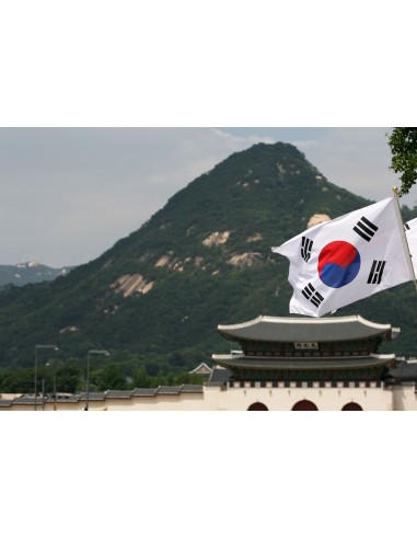 Флаг Кореи (Южной)
