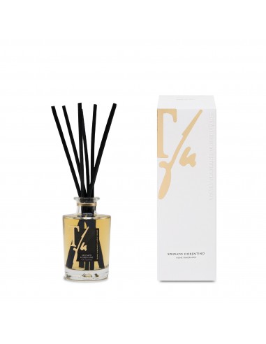 FLORENTINE SPICE (Speziato Fiorentino), 100 ml, Diffuser With Sticks, Teatro Fragranze Uniche