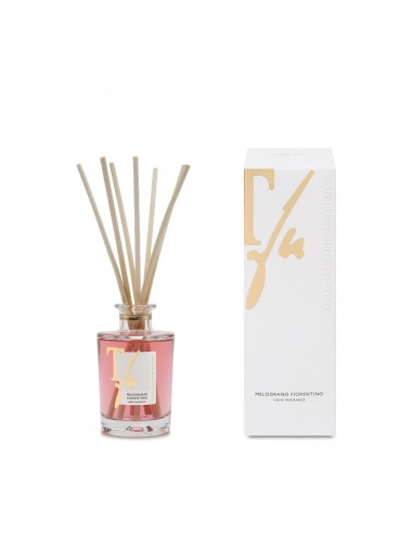 FLORENTINE POMEGRANATE (Melograno Fiorentino), 100 ml Diffuser With Sticks, Teatro Fragranze Uniche