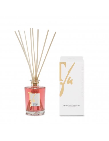 FLORENTINE POMEGRANATE (Melograno Fiorentino),  250 ml Diffuser With Sticks , Teatro Fragranze Uniche 