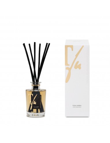  PURE AMBER (Pura Ambra), 100 ml Diffuser with Sticks, Teatro Fragranze Uniche