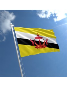 Флаг Брунея 2