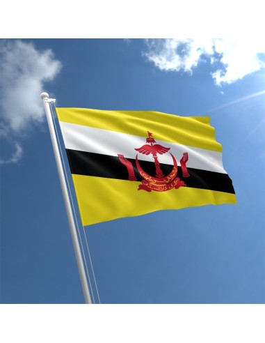 Флаг Брунея