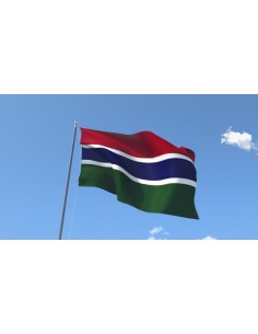 Флаг Гамбии 2