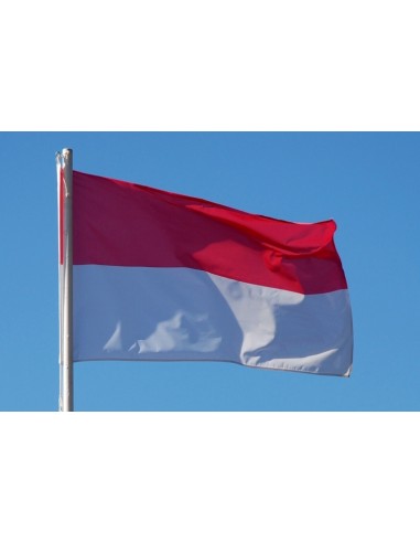 Флаг Индонезии