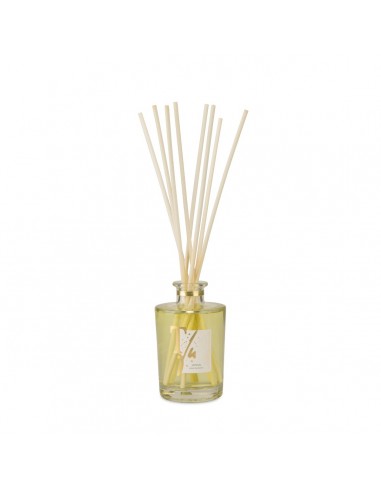 JOYFUL, 100 ml diffuser with Sticks, Teatro Fragranze Uniche